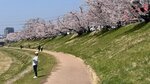 IMG_5289
