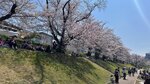 IMG_5294