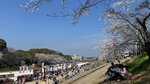 IMG_5304