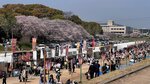 IMG_5305