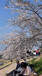 IMG_5306