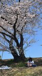 IMG_5308