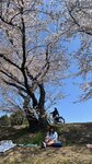 IMG_5309