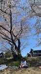 IMG_5310