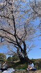 IMG_5311