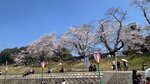 IMG_5314