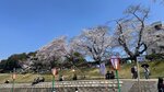IMG_5315