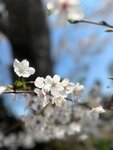 IMG_5328