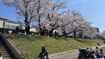 IMG_5331
