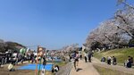 IMG_5332