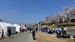 IMG_5333