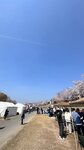 IMG_5334
