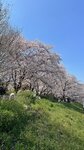 IMG_5335