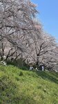 IMG_5336