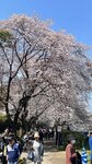 IMG_5338