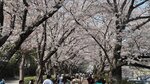 IMG_5339