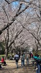 IMG_5340