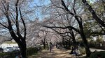 IMG_5342