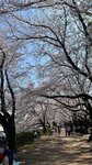 IMG_5343
