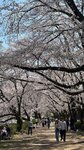 IMG_5344
