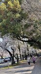 IMG_5350