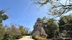 IMG_5372