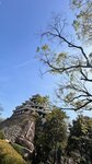 IMG_5373