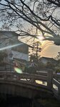 IMG_5398
