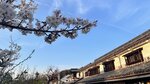 IMG_5402