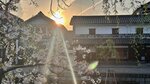 IMG_5408