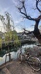 IMG_5410