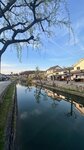 IMG_5416