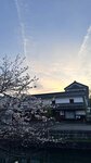 IMG_5439
