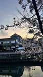 IMG_5456