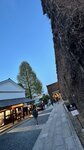 IMG_5469