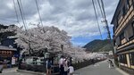 IMG_5570