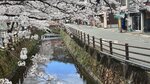 IMG_5573