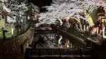 IMG_5585