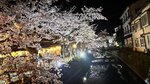 IMG_5596
