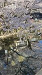 IMG_5635