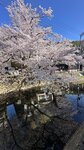 IMG_5636