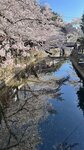 IMG_5637