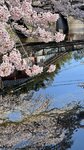 IMG_5643