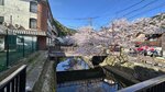 IMG_5646