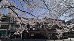 IMG_5647