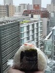IMG_3607