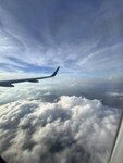 IMG_3755