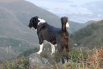 hiking168