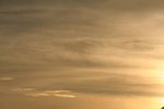 IMG_2377