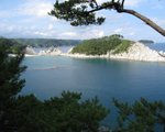 IMG_2475